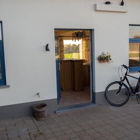 Vakantiewoning De Wilg - Rustig Gelegen Geraardsbergen Dış mekan fotoğraf