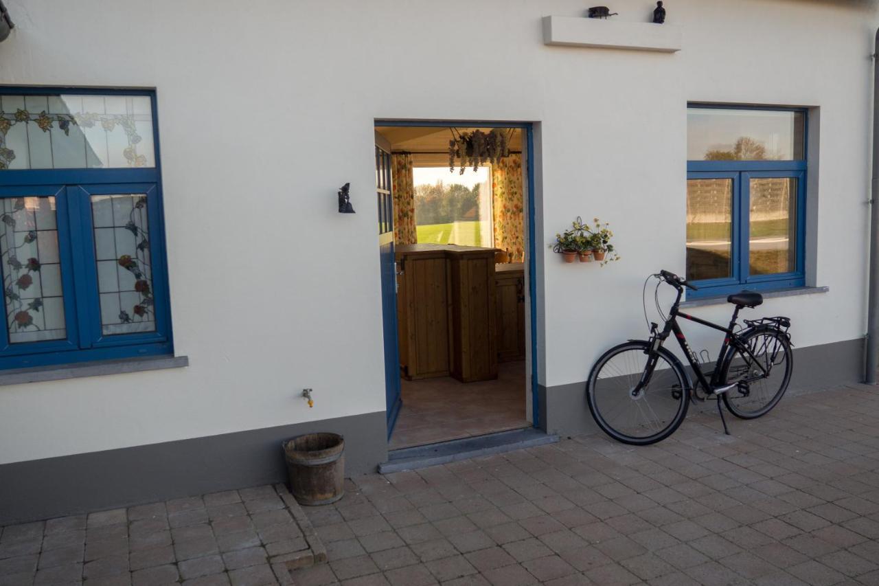 Vakantiewoning De Wilg - Rustig Gelegen Geraardsbergen Dış mekan fotoğraf